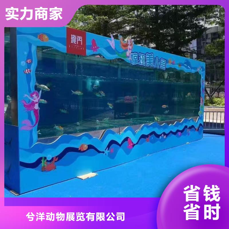 海洋展租赁活动庆典