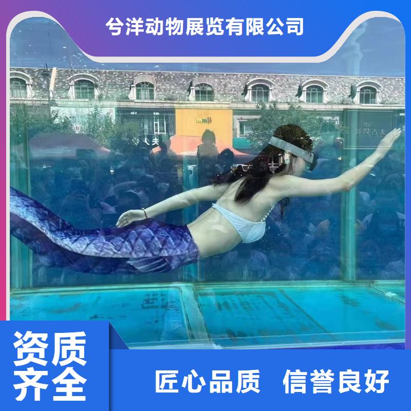 海狮出租公司丰富多彩