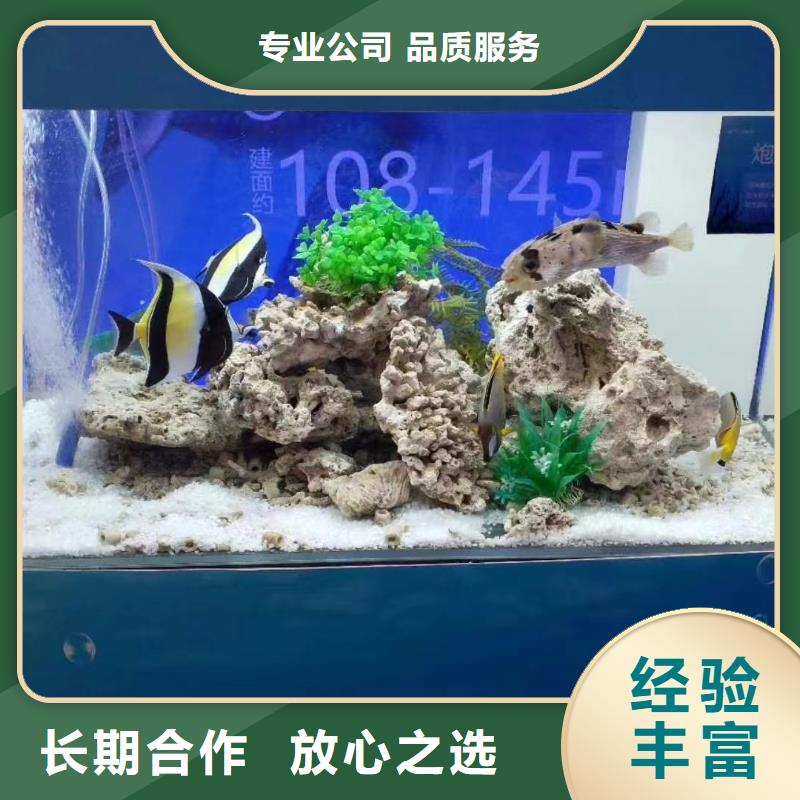 海洋生物展出租公司活动图片