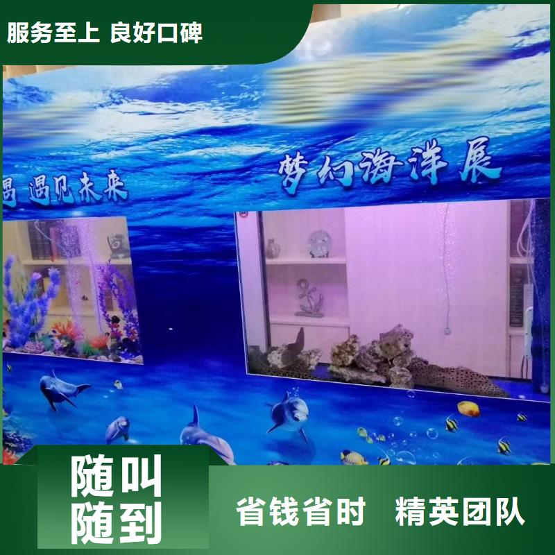 海狮表演出租