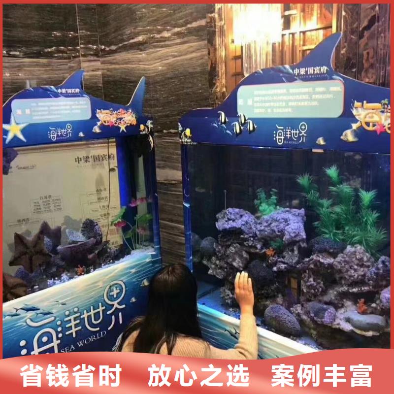 海洋主题动物表演,海洋展租赁匠心品质