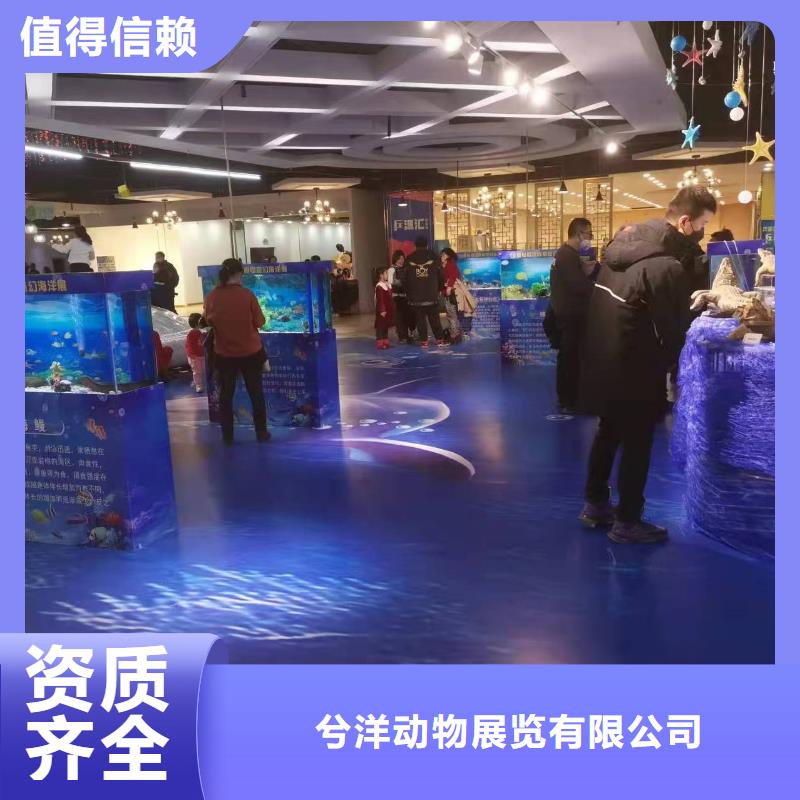 海洋生物展出租厂家现货定做