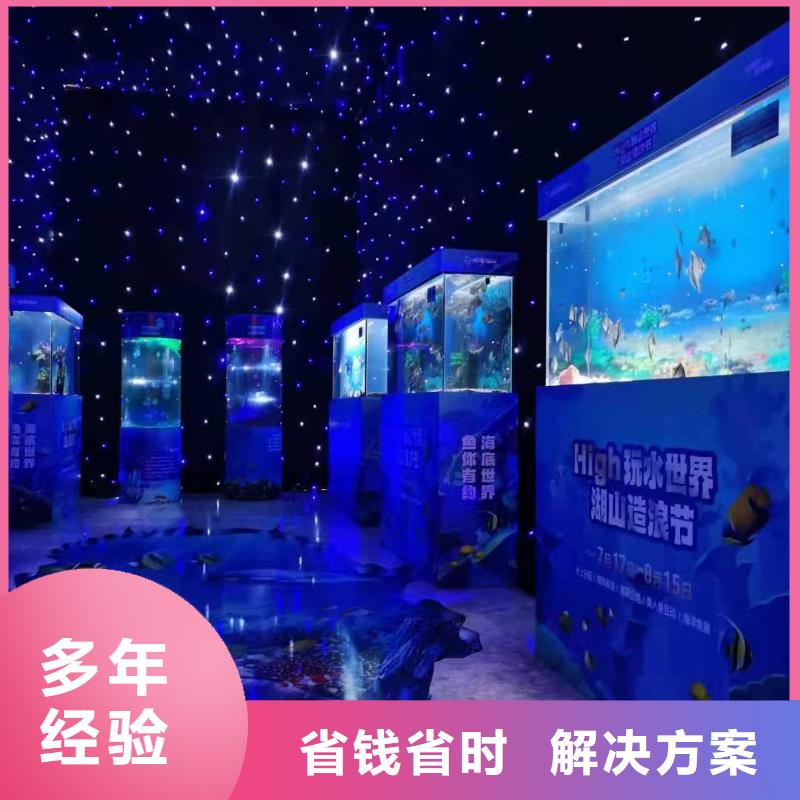 海洋主题动物表演-【海洋展租赁】匠心品质