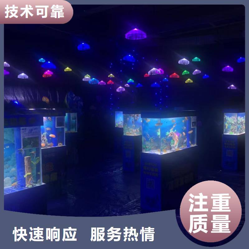 海洋主题动物表演,【动物展览秀】免费咨询