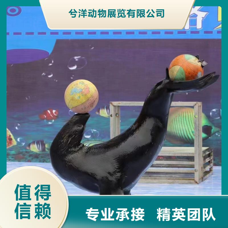 海狮出租公司活动庆典