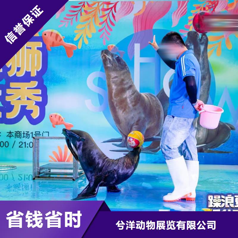 海洋生物展租赁