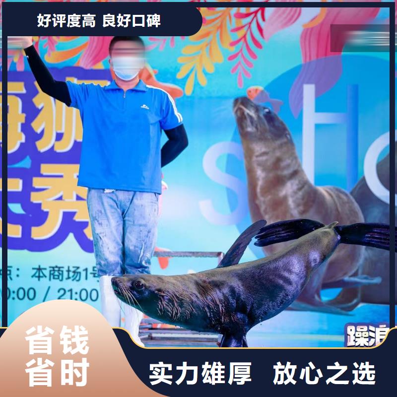 海洋生物展租赁