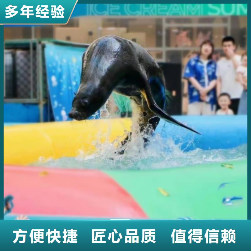 海洋生物展出租活跃气氛