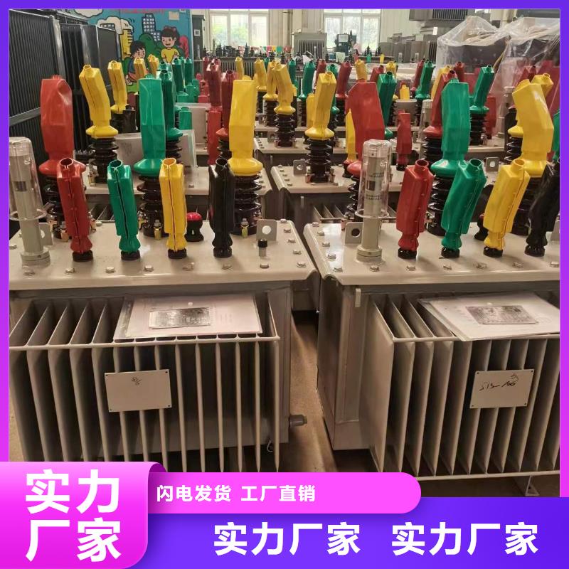 【油浸式变压器】E型三相变压器细节展示