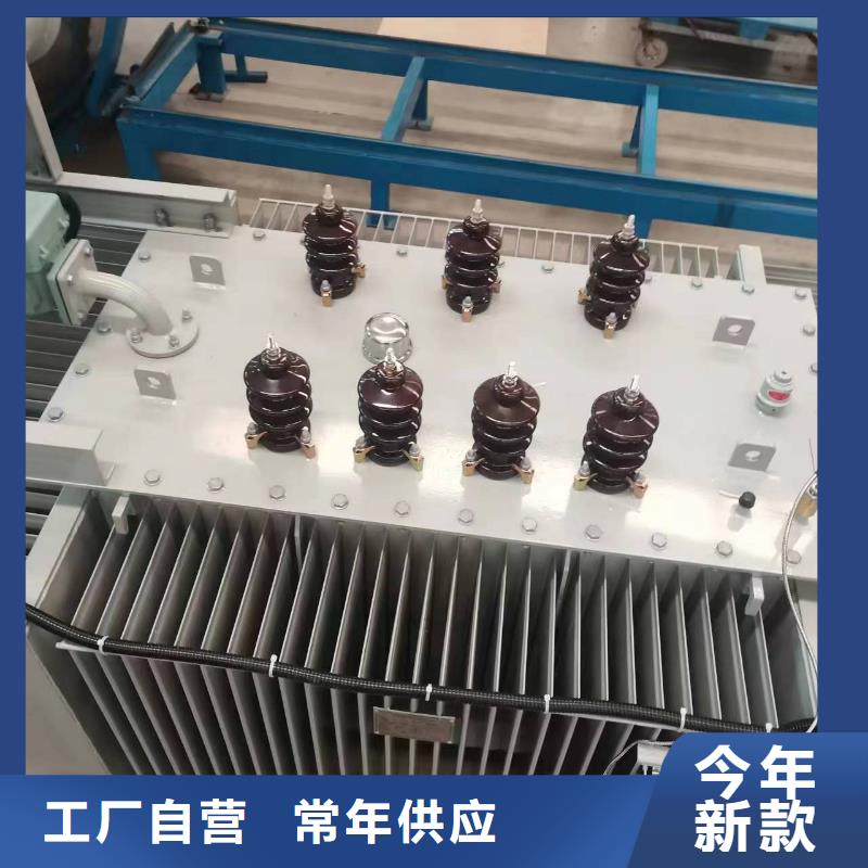 变压器厂家SH17-1250KVA10/0.4KV非晶合金油浸式变压器现货价