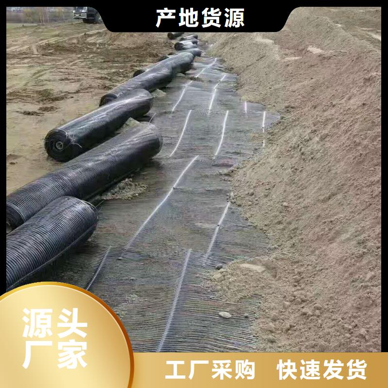 双向塑料土工格栅批发