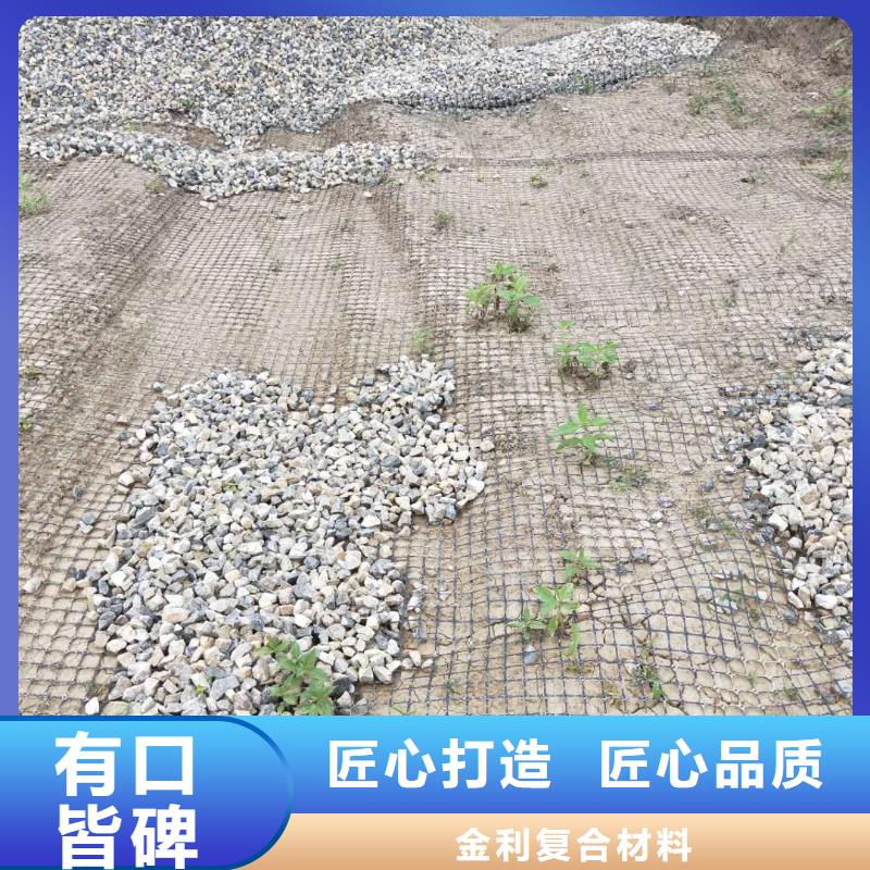 塑料土工格栅单价