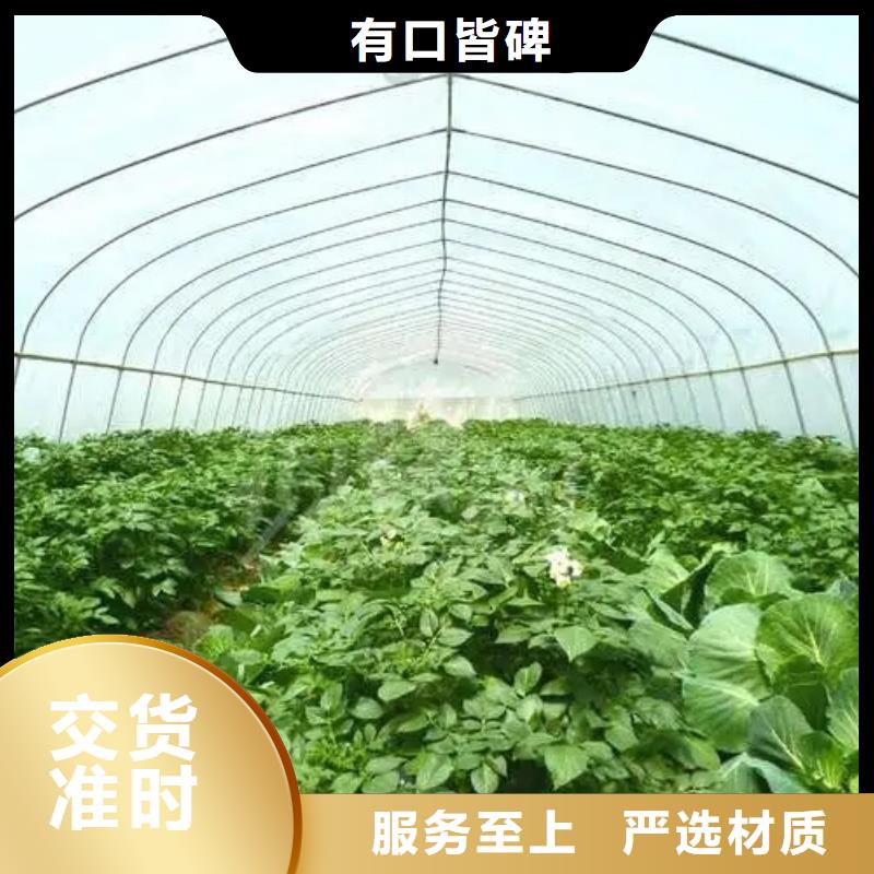 新丰县蔬菜大棚骨架价格优惠2024--境内派发