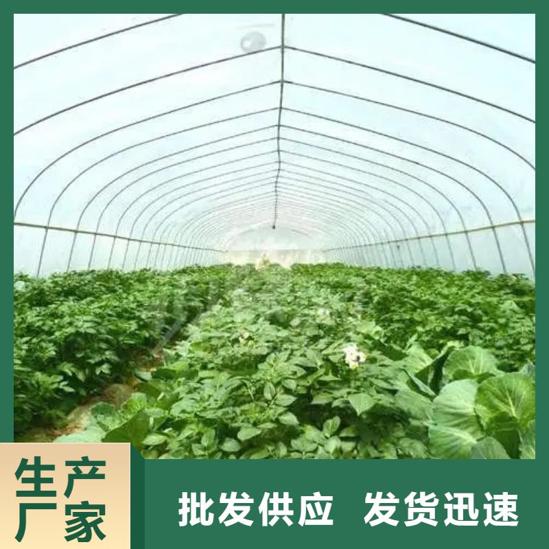 南郑县8丝10丝12丝大棚Po膜供应商