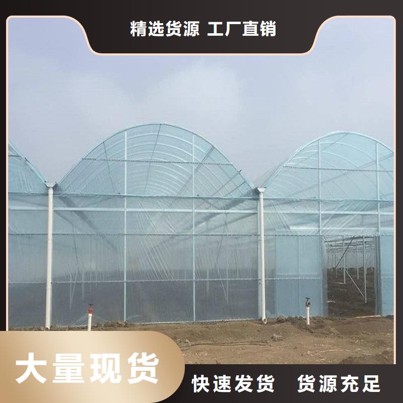 进口PEP利得膜价格优惠2025乡村振兴计划