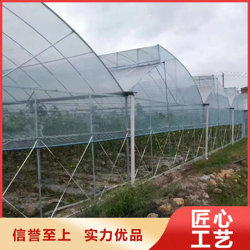 万载县蔬菜大棚骨架供应商2025--境内派发