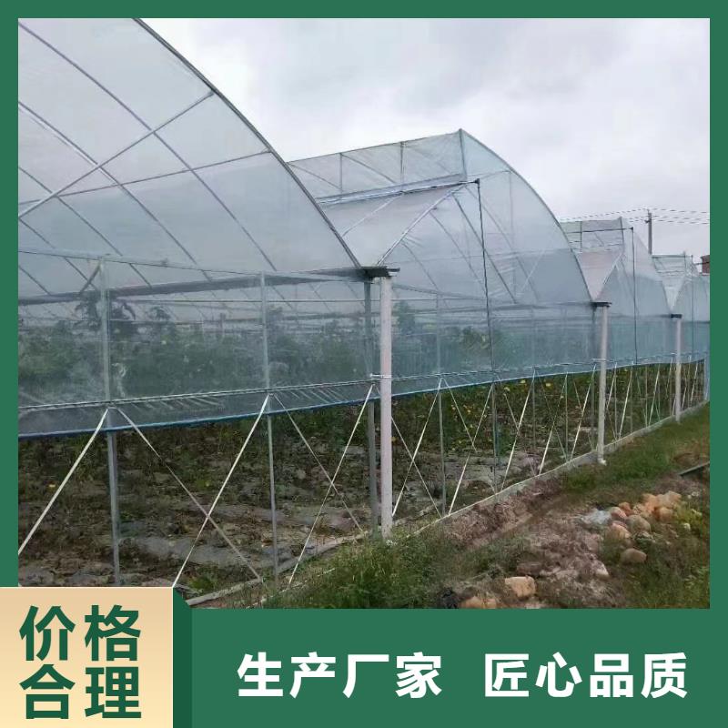 彭泽县GP825蔬菜大棚管按需定制