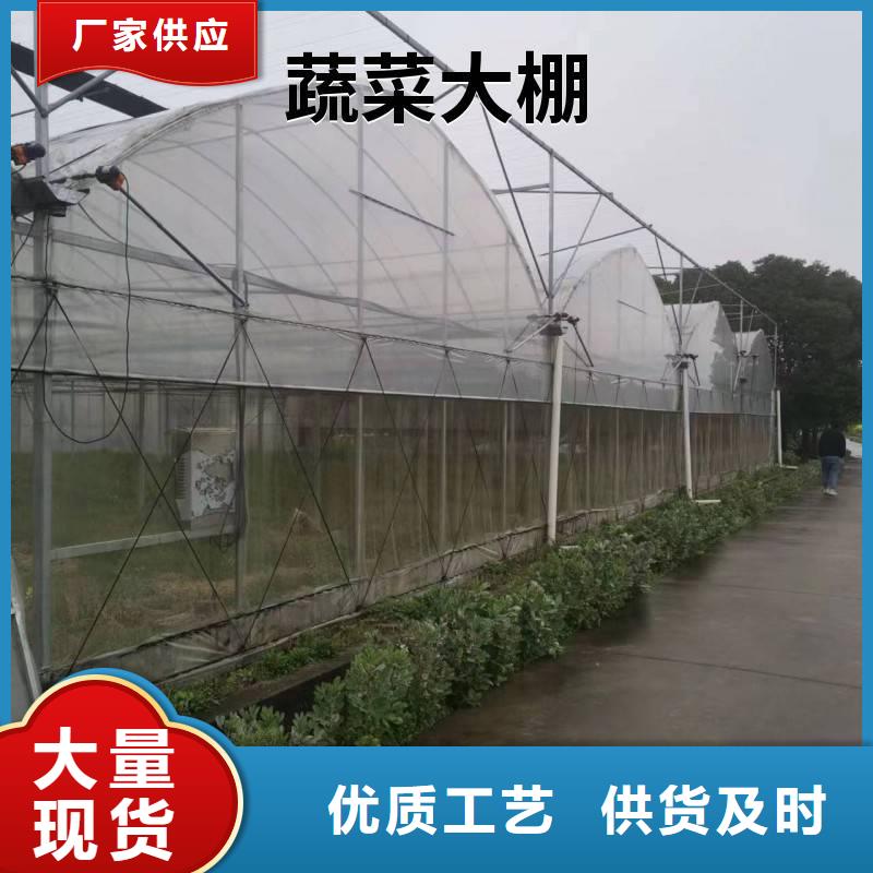 县蔬菜大棚厂10年经验