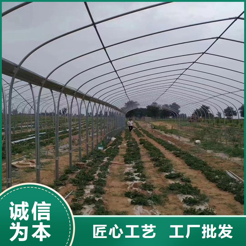 北镇市热镀锌蔬菜大棚管批发价格