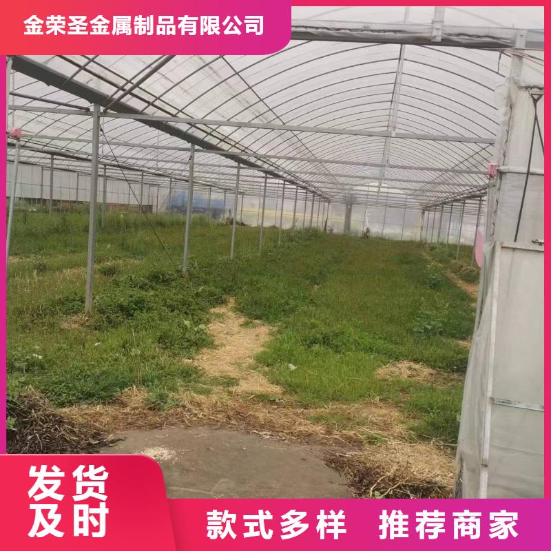 县芒果大棚管直销价格