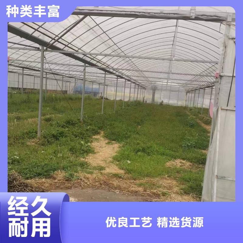 西瓜大棚管定制价格金荣圣大棚