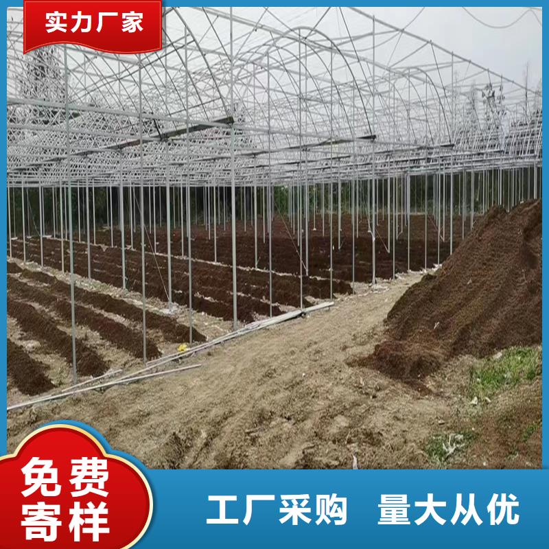 昌江区单体蔬菜大棚货真价实