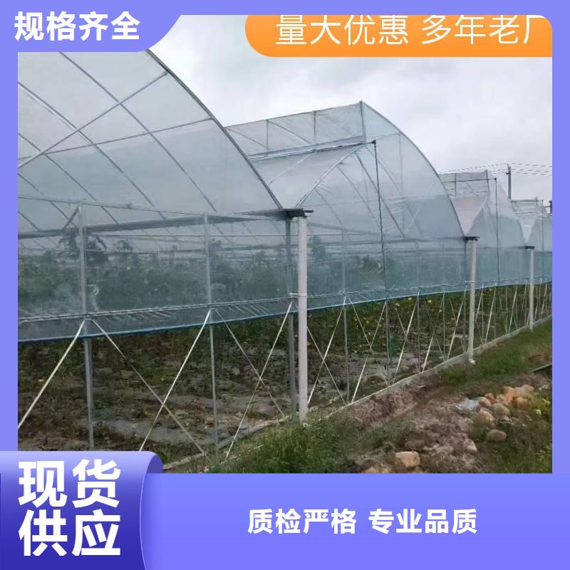 东源县薄膜温室连栋大棚厂家品质保证2025-8-28