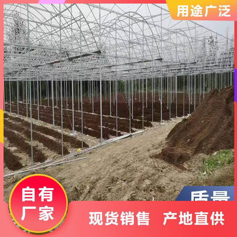 蔬菜温室大棚钢管厂家批发质量优2025-全国配送