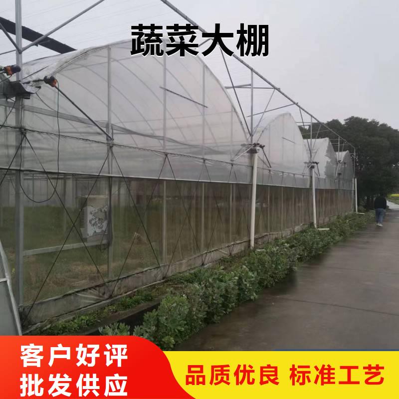 筠连县葡萄避雨大棚的设计【修饰词