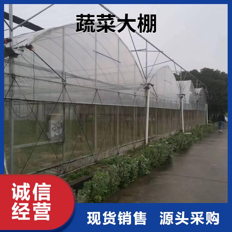 蓝莓温室大棚品质优金荣圣大棚