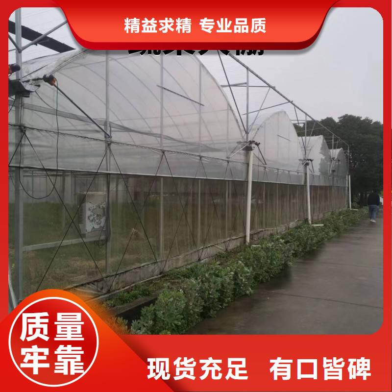 草莓大棚管工厂直销金荣圣大棚