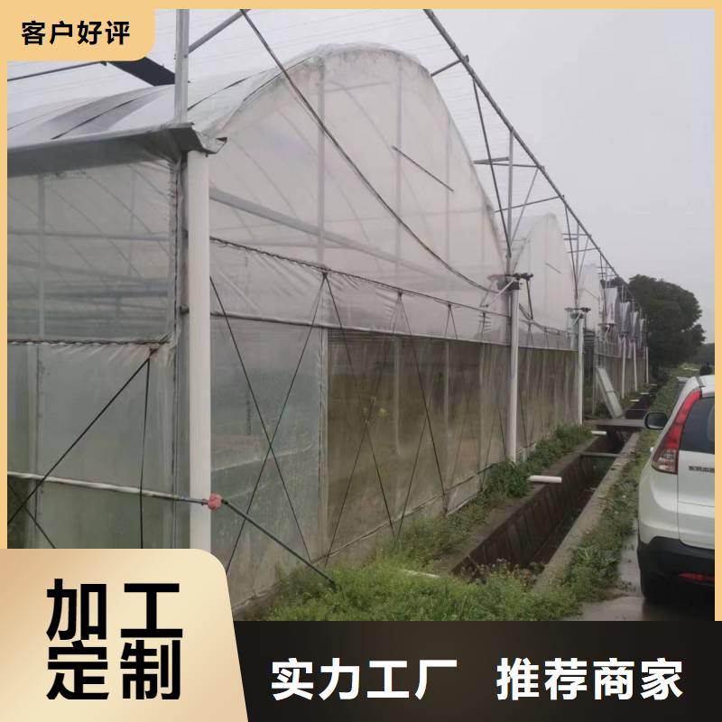 蜀山区GP825单体蔬菜大棚规格齐全