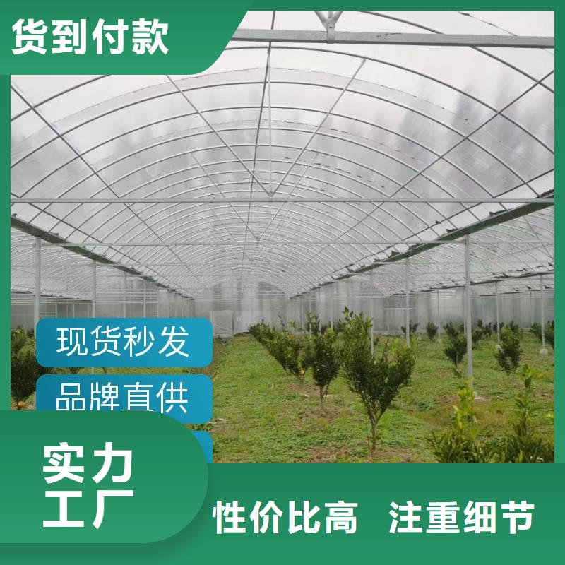 GP825蔬菜大棚管直销价格