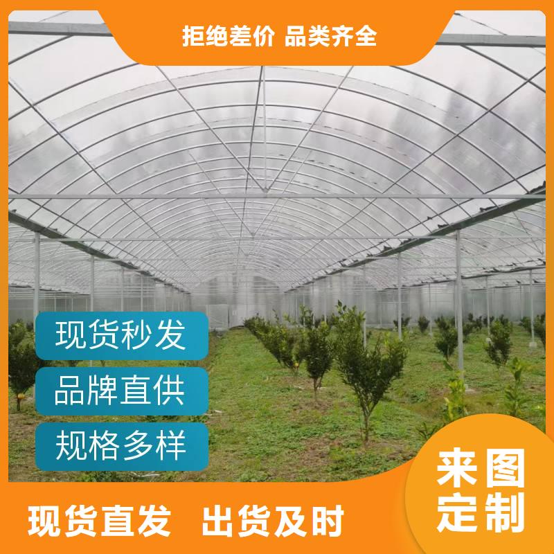 九龙坡区温室连栋大棚厂家实力老厂2025-8-28