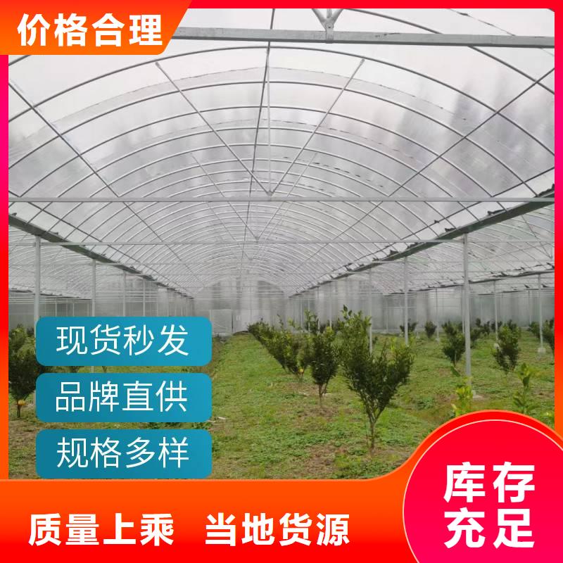 昌江区单体蔬菜大棚货真价实