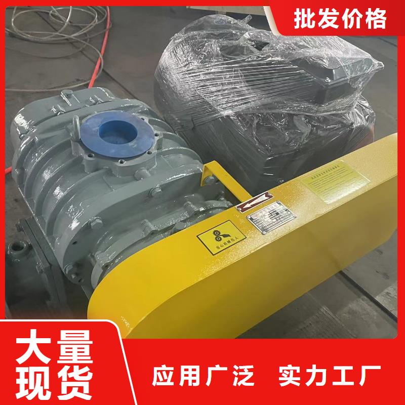 2025推荐三叶罗茨鼓风机LFSR100