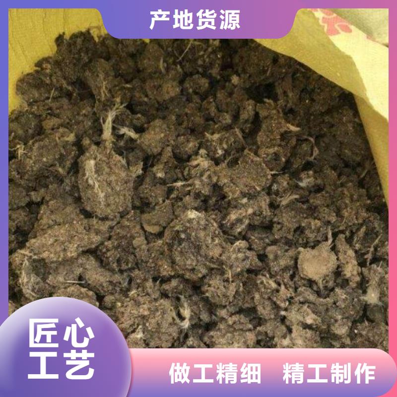 专注制造干鸡粪厂家