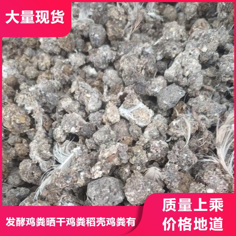 干鸡粪能提升水果品质