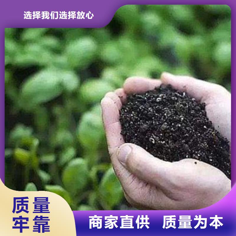 桓台高青淄博生物有机肥蔬菜基地的好肥料