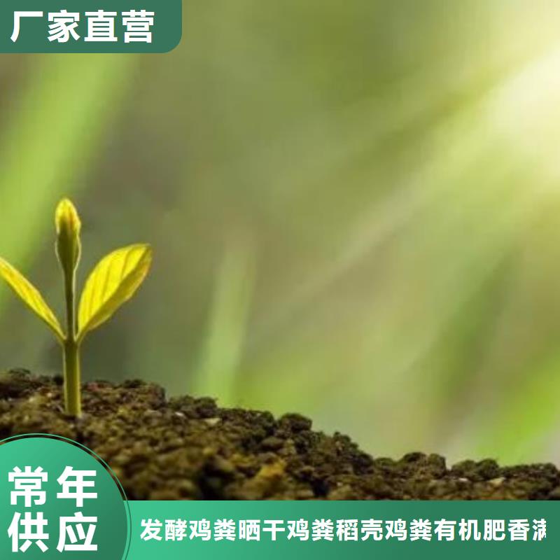 发酵鸡粪蔬菜基地用的好