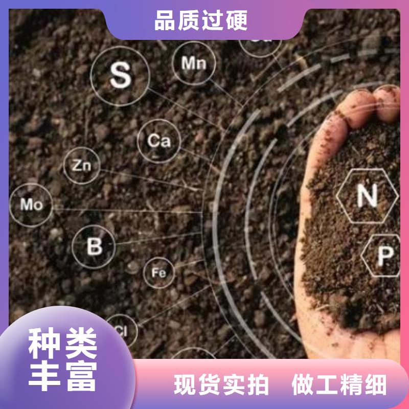 发酵鸡粪老农信赖的有机肥