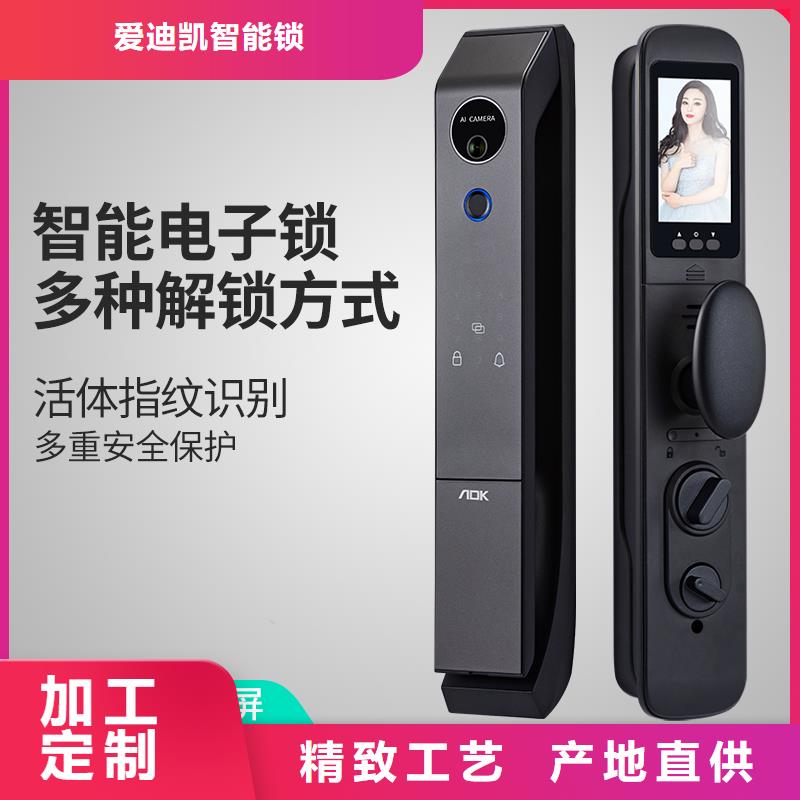 智能锁人脸识别智能锁批发敢与同行比服务