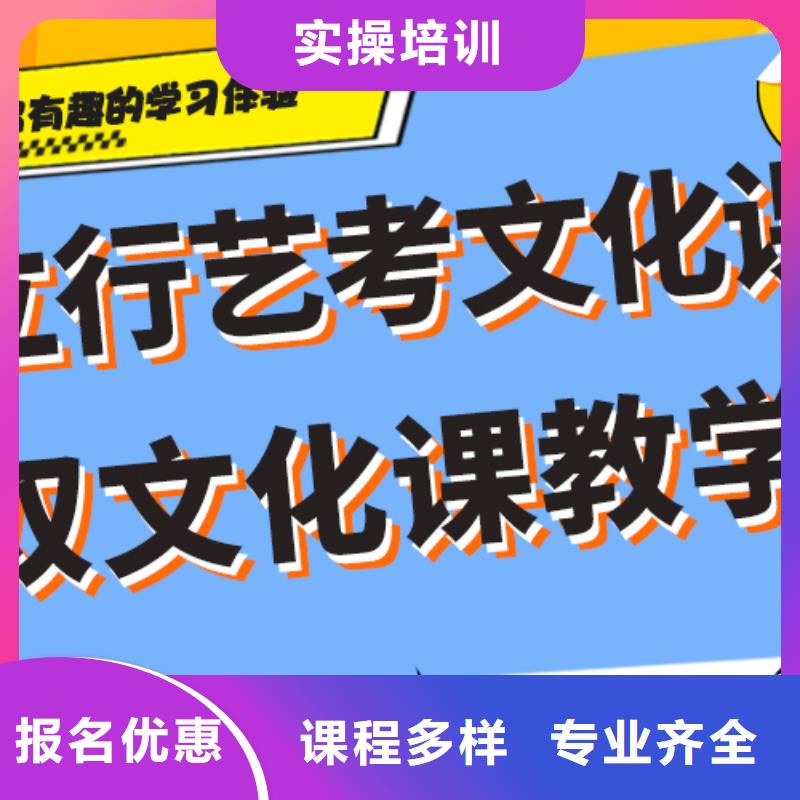 艺考生文化课高考小班教学课程多样