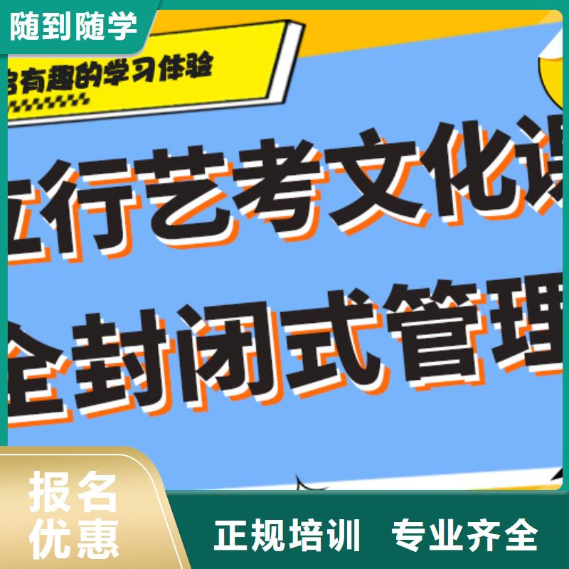 艺考生文化课,艺术专业日常训练老师专业