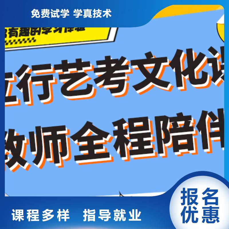 艺考文化课补习艺考文化课冲刺班课程多样