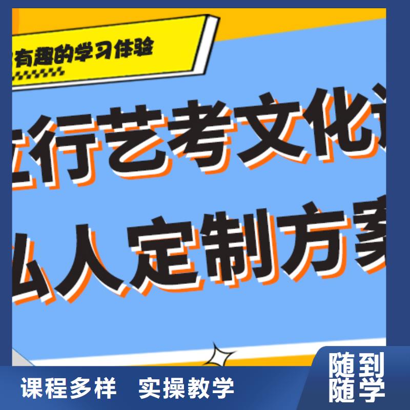 艺考文化课补习高考书法培训学真技术