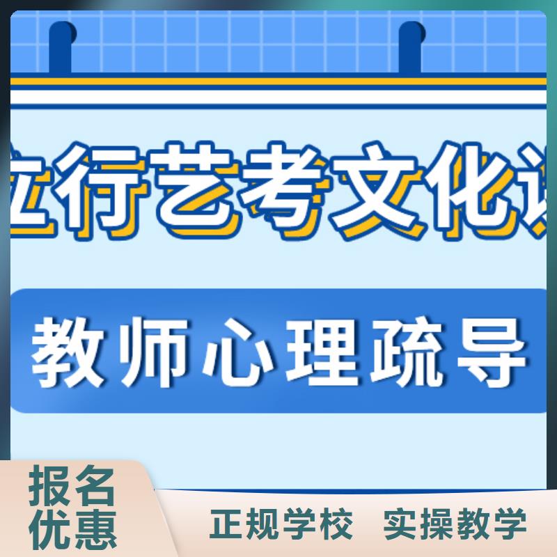 艺考文化课补习高考语文辅导学真技术