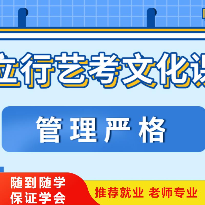 艺考文化课补习高考语文辅导学真技术