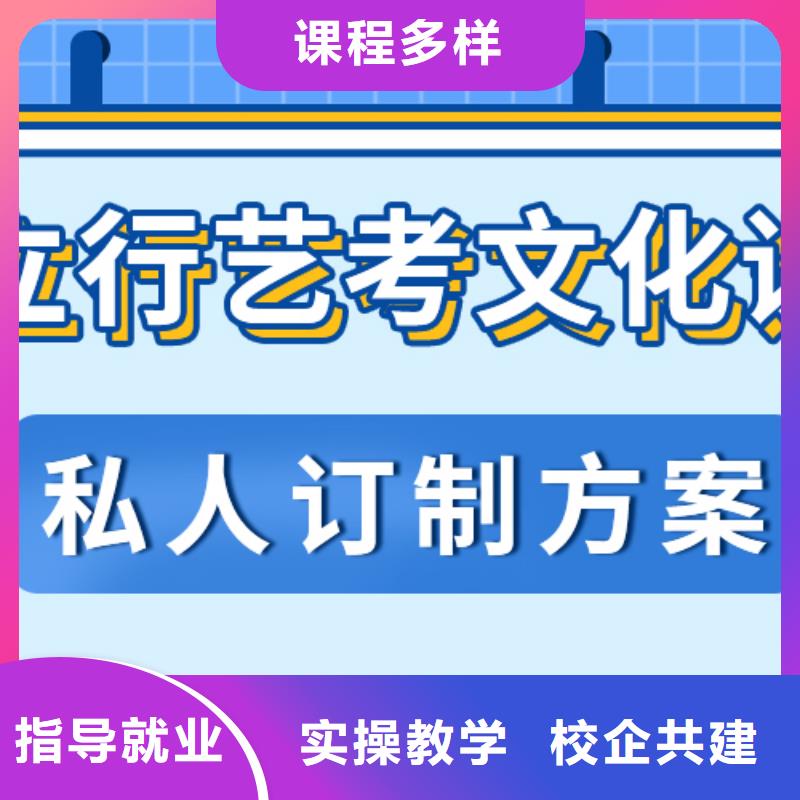 艺考文化课补习高考书法培训学真技术