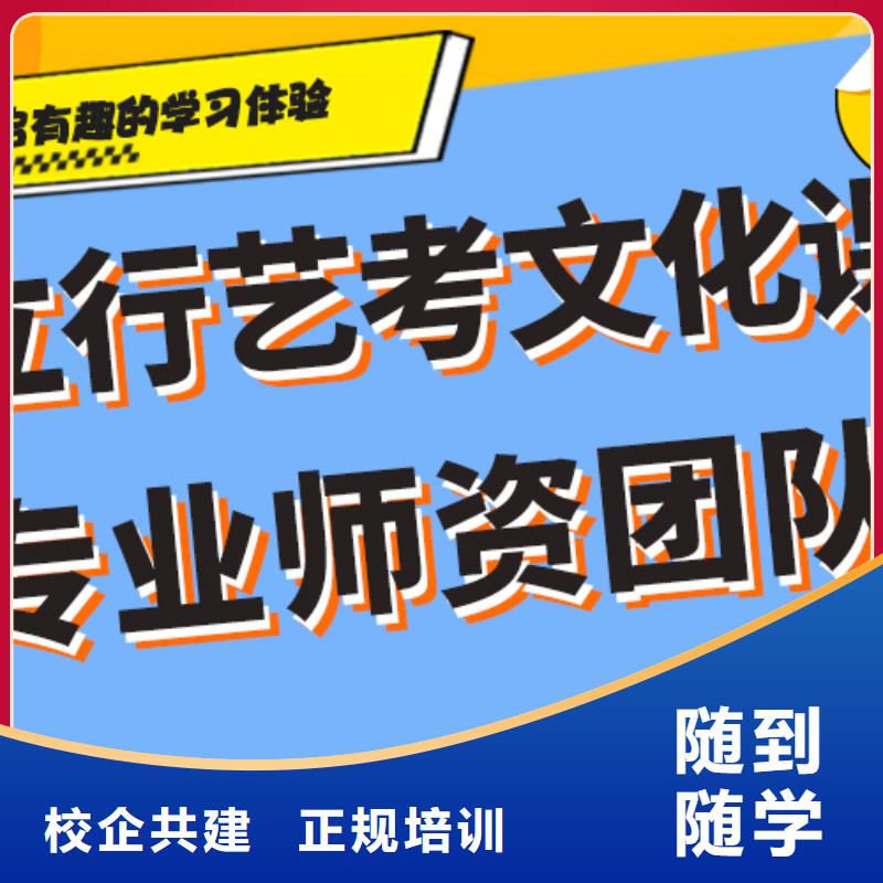 艺术生文化课【高中一对一辅导】课程多样